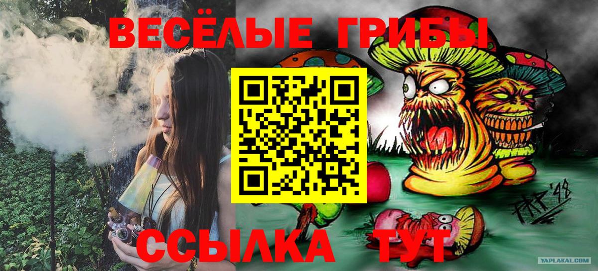 Псилоцибиновые грибы мухоморы Россия