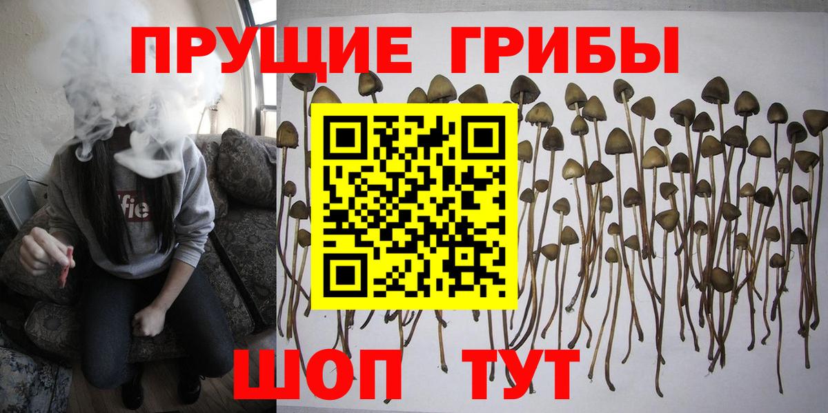 Псилоцибиновые грибы MAGIC MUSHROOMS  Вход с VPN  Россия 